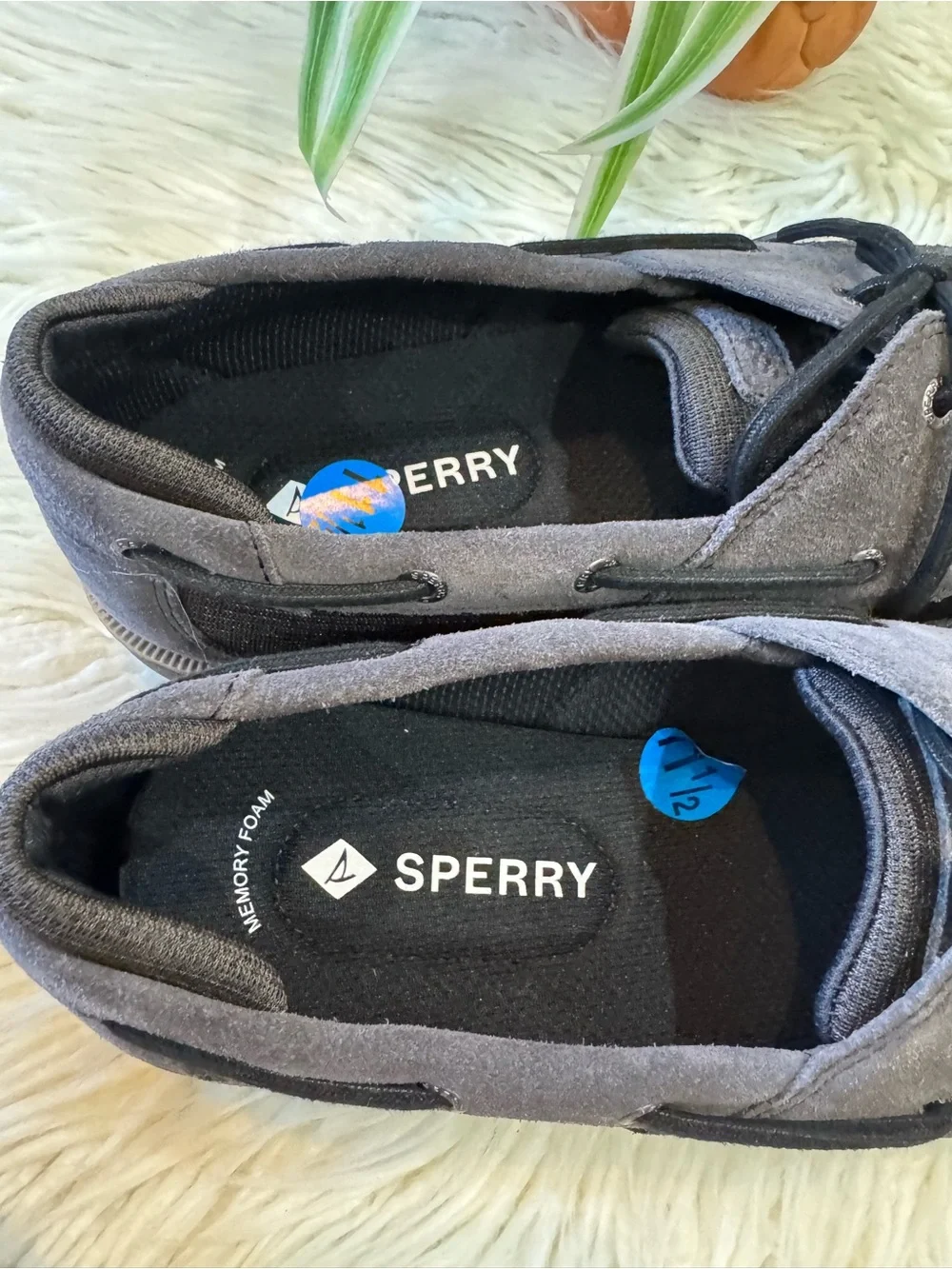 Sperry boat shoes
